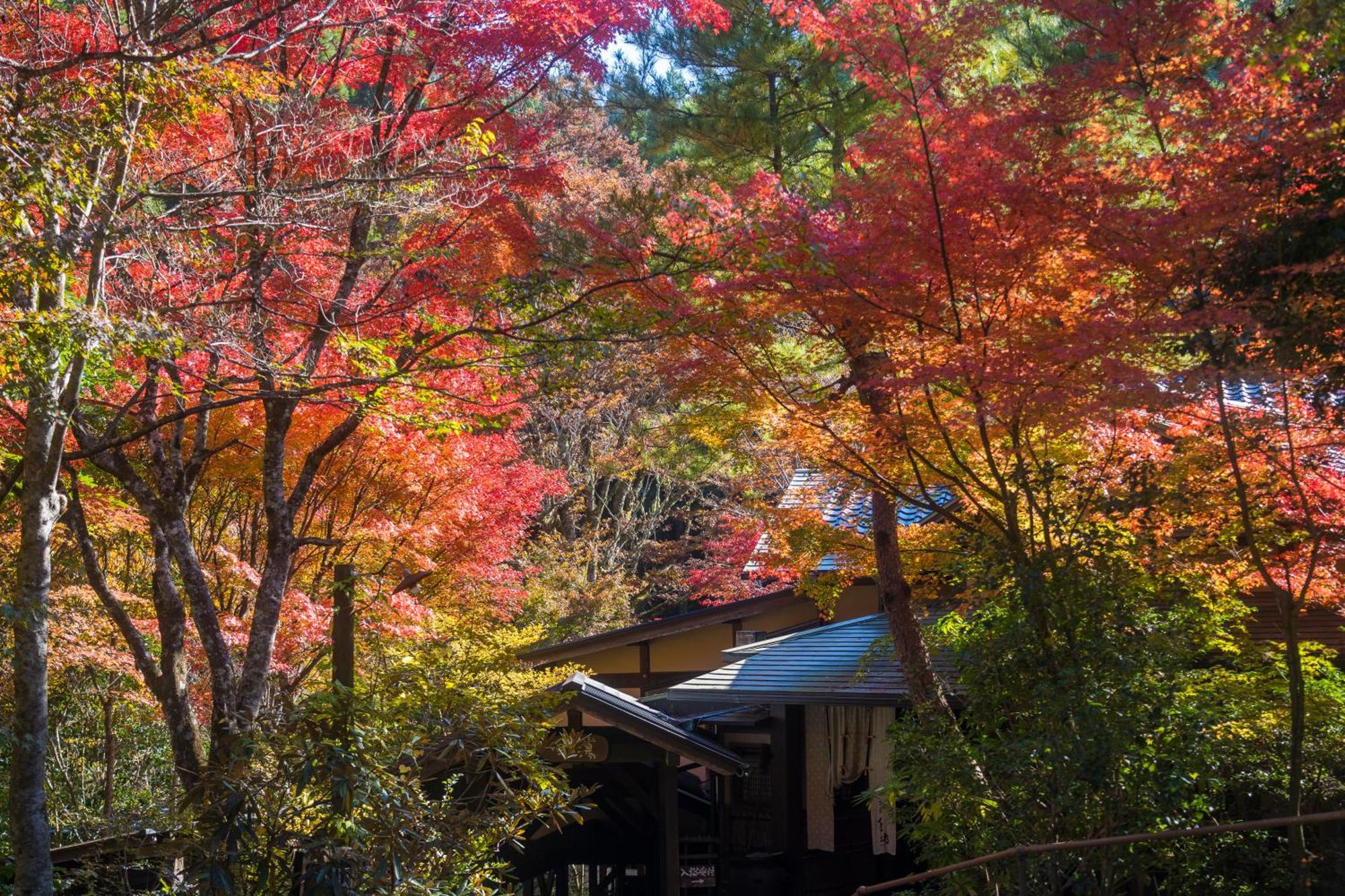 Oyado Hanabou Minamioguni Exterior foto